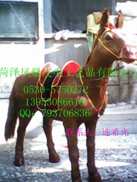 云龙供应照相大马，牦牛，